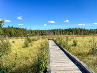 Duszniki Zdroj, Poland, September 3, 2026: "Torfowisko pod Zielencem" Nature Reserve, Duszniki Zdroj, Poland