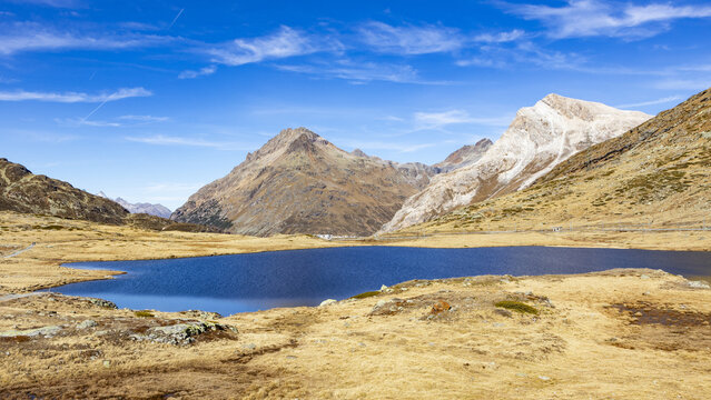 View of a serene lake mirrors the rugged peaks under a vibrant blue sky, surrounded by golden meadows in Passo del Bernina, Grisons, Switzerland.