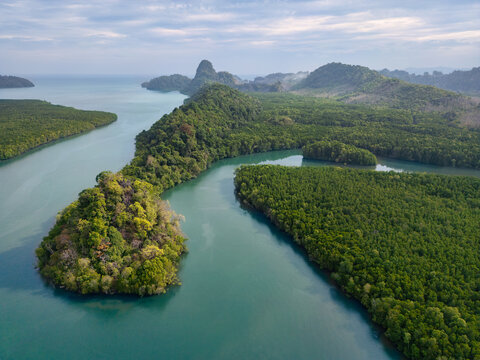 Kubang Badak Mangrove Reserve on Langkawi Island, Malaysia.