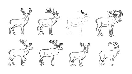 Obraz premium Deer species sketch: A detailed illustration showcasing diverse deer species in side profile. It's a study in animal anatomy, focusing on their distinct characteristics. 