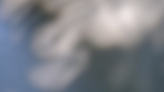 Soft blurred shadows and sunlight. Window and sunlight, overlay shadows on white textured background. Minimal style, copy space, template.  Autumn winter style aesthetics. Video transition