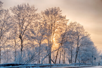 The winter city park is covered with snow