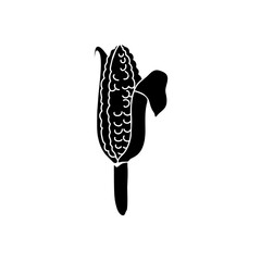 A vector illustration of a healthy corn root with green leaves isolated alongside a black and white butterfly on a black background for a fresh nature diet concept