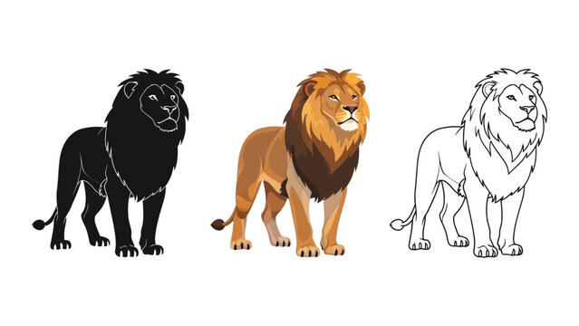 Set of three male lion illustrations in silhouette, full color, and outline styles