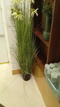 Beautiful interior of the public toilet with flowers and cotton towels. Vertical Video
