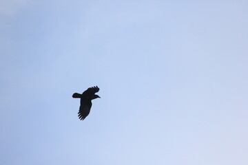 Jasper Alberta Rocky Mountain Scenery