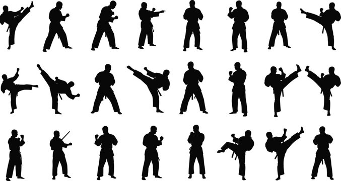 Collection of professional karate silhouettes featuring various martial arts poses including high kicks blocks and fighting stances isolated on white background for sports design