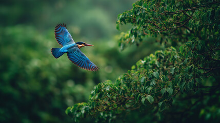 Bird flying gracefully among lush green trees in natural habitat. Bird flying over trees  