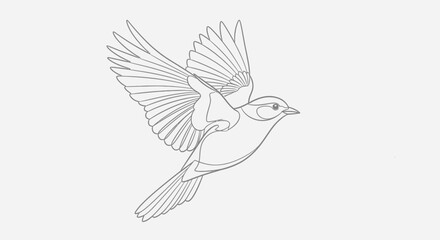 Fototapeta premium Minimalist vector illustration of a single bird in flight, depicted with clean lines and a simple outline, capturing the essence of avian freedom and grace