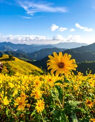 A bright yellow flower blooms in a field of wildflowers against a backdrop of layered mountains and a blue sky