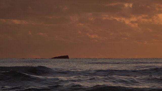 Close-up of small island with seabirds at sunset, Ulcinj, Montenegro
