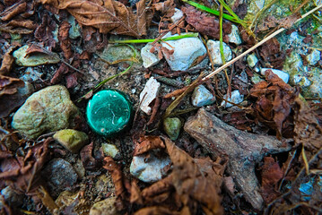 Green bottle cap between pieces of wood, stones, breads of grass and leaves during the winter