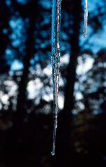 Closeup of an Icicle