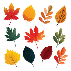 Obraz premium set of autumn leaves