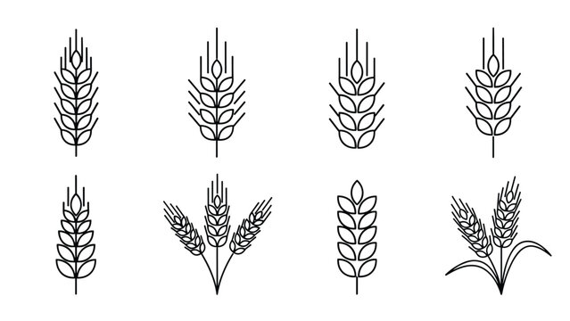 Various minimalist black line icons of wheat and barley ears are arranged in a grid to show different agricultural designs.