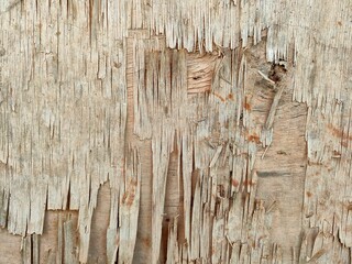Extreme Worn Plywood Texture