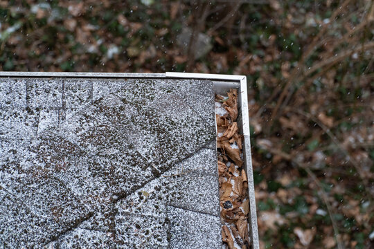 Macro view of a stone building edge or step with fallen leaves and winter weathering for architectural material concepts