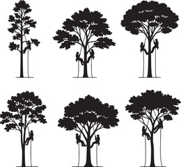 Fototapeta premium Silhouettes of people climbing and sitting in various trees with different foliage and trunk shapes also transparent background