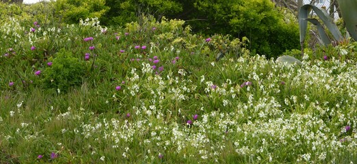 une promenade au long de la c&ocirc;te &agrave; Lesconil en Bretagne Cornouaille Finist&egrave;re France