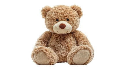 Obraz premium High-quality sharp soft teddy bear isolated on white background 