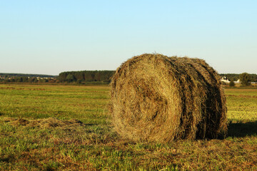 Hay bale on the field. Agricultural field with hay bale and sky. Hay bale close-up. Field