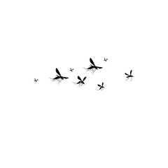 Flying Mosquito Illustration