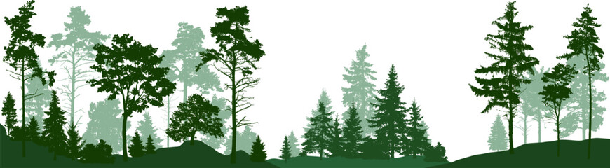 Fototapeta na wymiar Forest silhouette trees. Evergreen coniferous forest with pines, fir, christmas tree, cedar, Scotch fir. (Every tree isolated, separate from each other, free-standing) Vector illustration