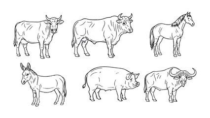 Fototapeta premium Farm Animals Line-Up: A sketched compilation showcasing the variety and distinctiveness of livestock, rendered in a simple yet elegant manner. 