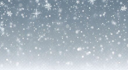 Gentle snowfall in a winter scene with sparkling snowflakes and bokeh effect