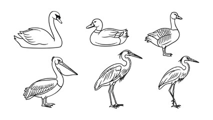 Obraz premium Sketchbook Birds: A collection of various birds, each exquisitely sketched in black, offering a captivating artistic interpretation of avian beauty, ideal for artistic, educational.