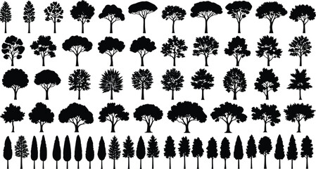 Tree silhouette grid, diverse botanical shapes, forest icons, deciduous and coniferous trees, black vector illustration, nature design elements, isolated © Sohel