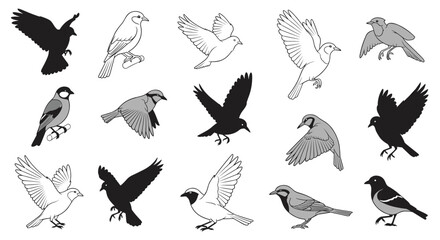 Obraz premium Set of bird illustrations featuring different styles like silhouettes, line drawings, and grey shaded versions in various poses.