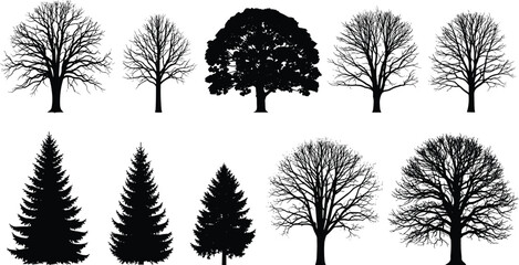 Tree silhouette collection, botanical shapes, deciduous and coniferous trees, winter branches, forest elements, nature icons, black vector illustration, isolated © Sohel