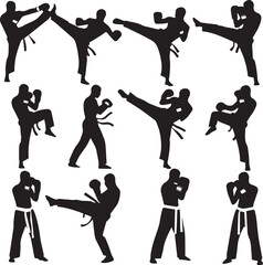 Martial arts silhouette postures and techniques