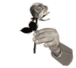 Male hand holding single rose with leaves in retro halftone style,cut out collage elements