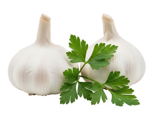 Two garlic bulbs with fresh parsley isolated on transparent background