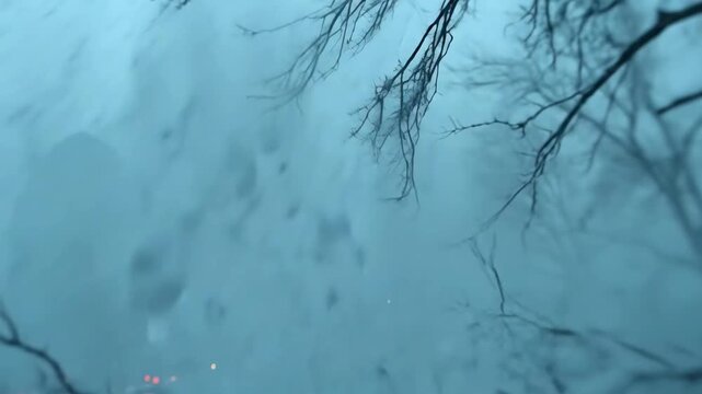 A foggy cityscape featuring tall building silhouettes behind leafless trees in misty, muted tones