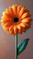 A vivid, close-up shot of a single orange gerbera daisy, set against a subtly textured, painterly backdrop