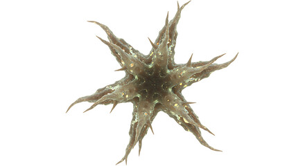 Obraz premium Detailed 3D Illustration of a Macrophage Cell: Highlighting Its Irregular Surface, Intricate Texture, and Role in the Immune System for Engulfing and Digesting Pathogens and Debris