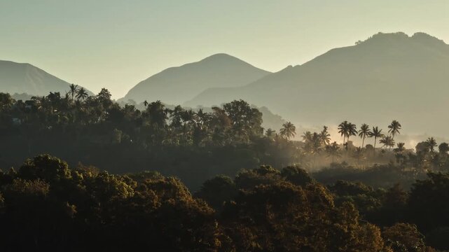 Lombok Senaru mountains rising above morning mist, layered tropical jungle forest and palm trees at sunrise, serene atmospheric panorama of untouched Indonesian wild nature landscape. Drone flight