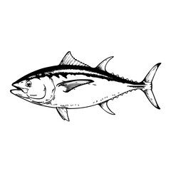 Fototapeta premium Tuna fish anatomical illustration – black and white line drawing