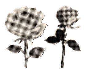 Two blooming rose halftone collage elements,vintage punk dotted flowers
