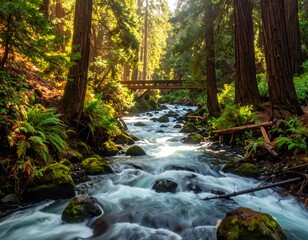 Obraz premium A vibrant woodland scene featuring a flowing river under a wooden bridge and towering trees, illuminated by sunlight