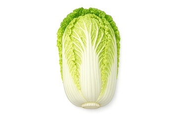 Fototapeta premium Fresh Napa Cabbage Isolated on Black Background, Healthy Vegetable for Cooking