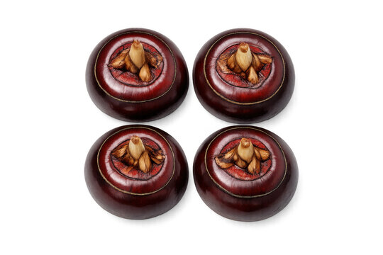 Four whole water chestnuts arranged in a square formation on a black background