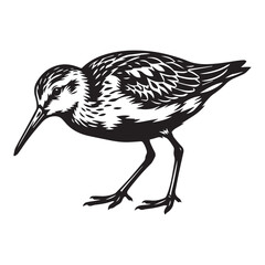 Rock Hopping Birds Svg