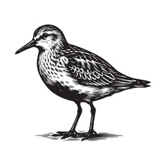 Rock Hopping Birds Svg