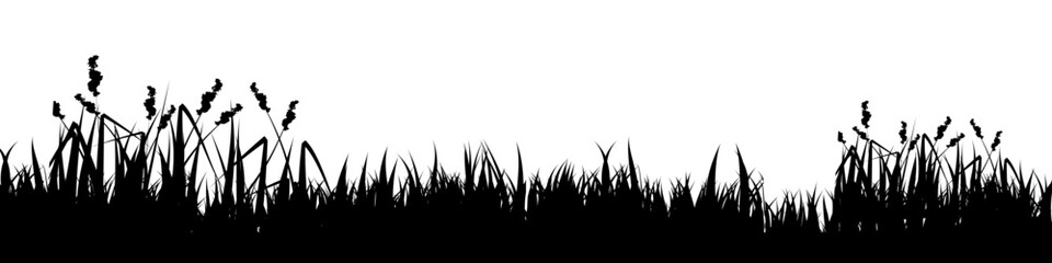 Obraz premium Meadow silhouette with grass, plants on plain. Panoramic summer lawn landscape with herbs, various weeds. Herbal border, frame element. Black horizontal banners. Vector illustration