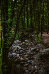 Obraz premium the valley of Ninglinspo, which is classed as an outstanding heritage area of Wallonia. The stream forms rapids around enormous blocks, forming a series of pools with evocative names