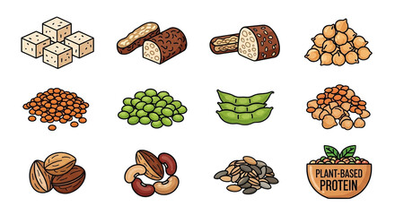 Illustrated Plantbased Protein Sources Collection On Black